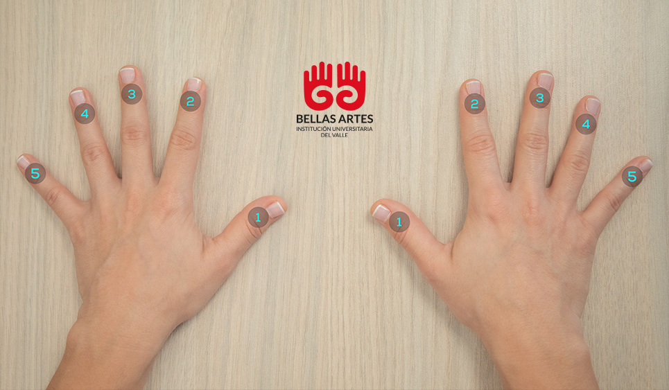 Fotografía mano derecha e izquierda con numeración de los dedos