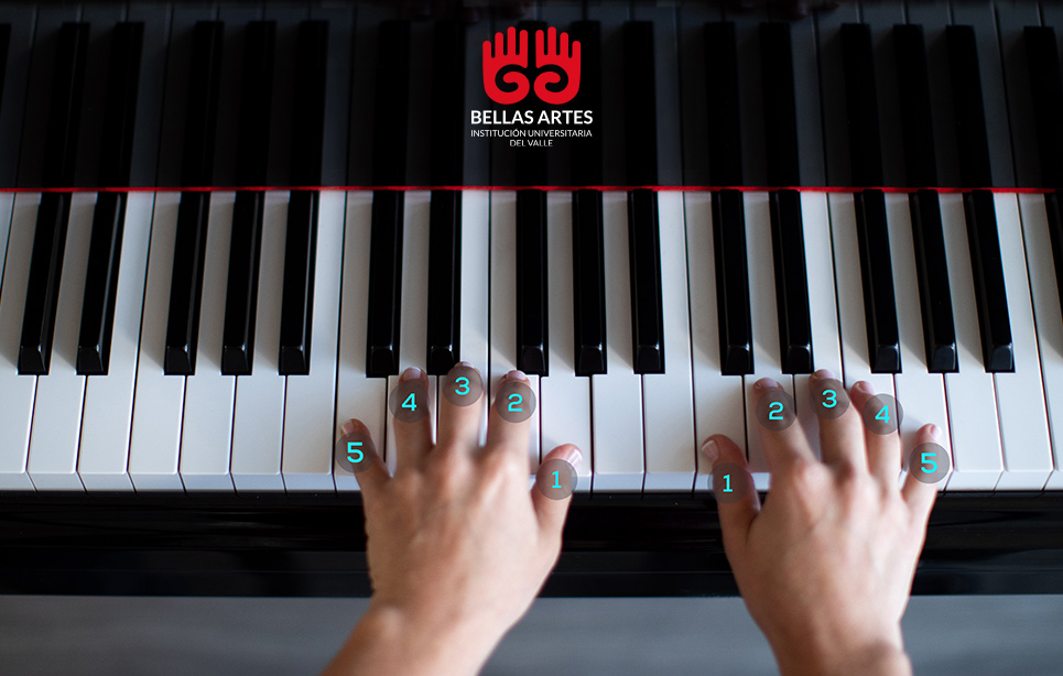 Fotografía mano derecha e izquierda con numeración de los dedos - Manos sobre el teclado